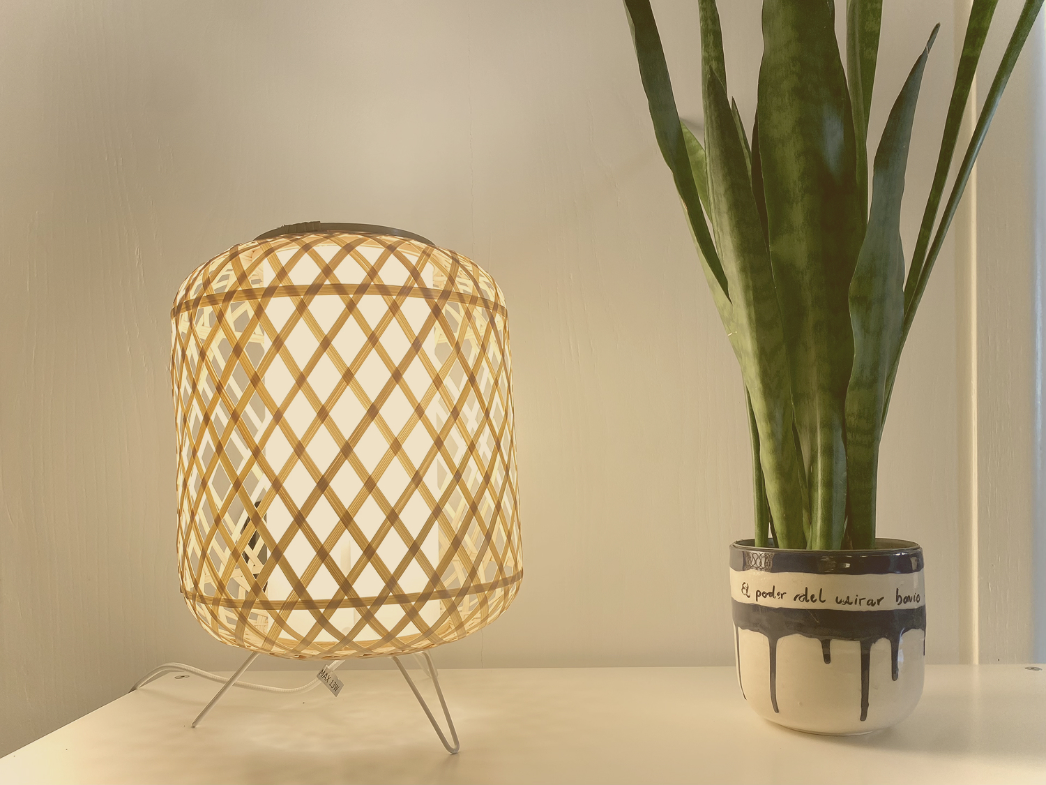 Lámpara de madera junto a una planta, fotografía de la web de Isabel Felip